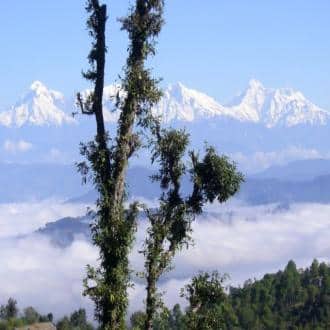 Holiday Home In Mukteshwar - Uttarakhand, Mukteshwar 2